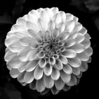 Complete Payment of Classic Wedding